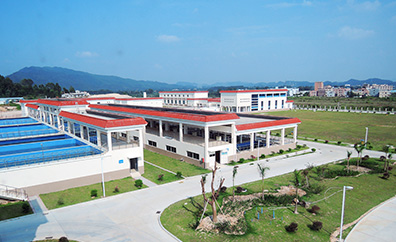 渚涙按涓氬姟